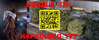 индика Тверь