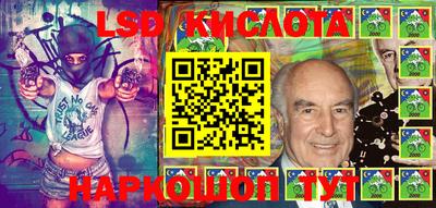 индика Тверь